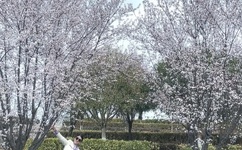 老板强行打扑克又疼又叫哔哩哔哩